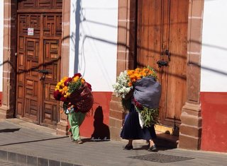 Flores para los altares de Noche de Muertos
