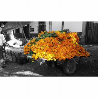 Flower stands for Day of the Dead