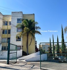IMG_1341