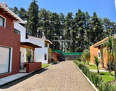 IMG_9390