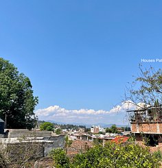 IMG_7849